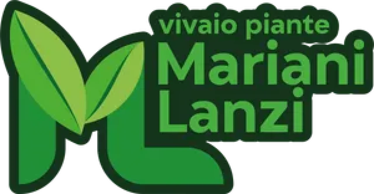 Vivaio Piante Mariani Lanzi