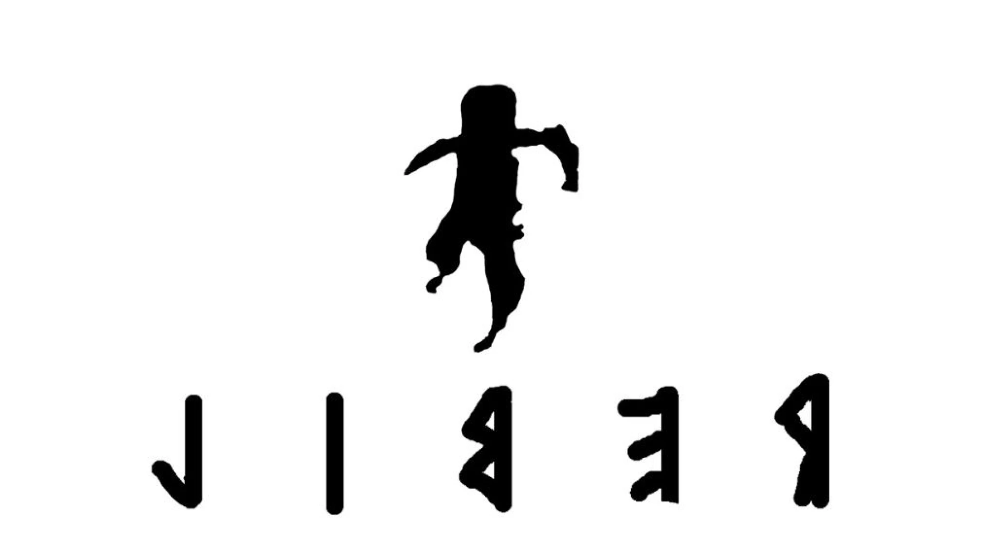 LIBER APS
